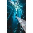 NEMO: 150 lumen LED underwater flashlight. IP68. 3AA batteries not included.