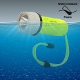 NEMO: 150 lumen LED underwater flashlight. IP68. 3AA batteries not included.