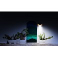 COLOMBA: 4W (500lm) solar-powered LED wall light with motion sensor