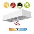 800-lumen solar-powered LED wall light with motion detector. White.