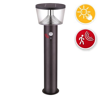 600 lumen solar floor lamp with motion detector 2
