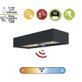 TEGEL: 800-lumen solar LED wall light with IR sensor. RAL 7016