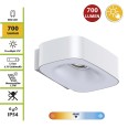 ANGEL: 700-lumen solar LED wall light with double beam. White