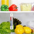 Refrigerator thermometer