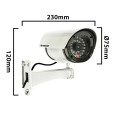 SILVEREYE: Cámara de video simulada con LED rojo. Requiere dos pilas AA (no incluidas). Plateada.