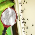 SMASH: Racchetta elettrica anti zanzare