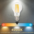 LED Filament Bulb, Drop A60, 5W/1055lm, E27 Base, 4000K - CLASS A