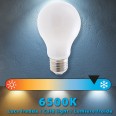 Opal Filament LED Bulb, Drop A60, 8W/1055lm, E27 Base, 6500K