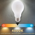 Opal Filament LED Bulb, Drop A60, 12W/1500lm, E27 Base, 4000K