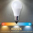 SMD LED bulb, A60 drop, 12W/1055lm, B22 base (France), 4000K