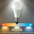 SMD-LED-Lampe, A60-Sockel, 15 W/1520 lm, B22-Sockel (Frankreich), 4000 K