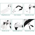 LED-Vergrößerungsgläser. 5 austauschbare Dioptrien.