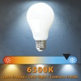 Opal Filament LED Bulb, Drop A68, 13W/1800lm, E27 Base, 6500K
