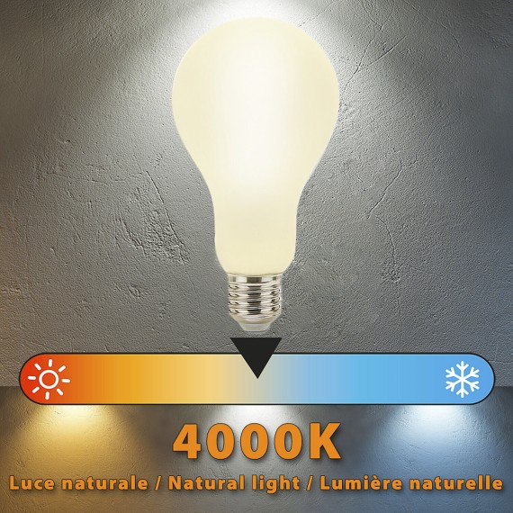 Opal Filament LED Bulb, Drop A75, 16W/2300lm,...